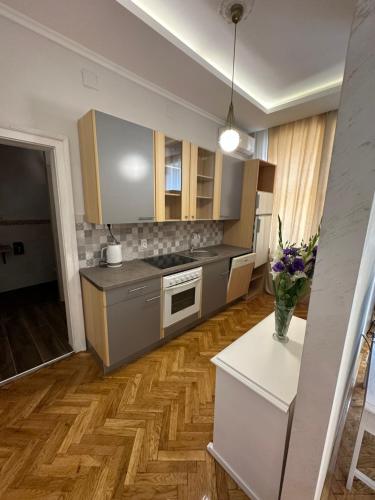 松博尔Apartments & Room - Korzo的厨房配有不锈钢用具,铺有木地板