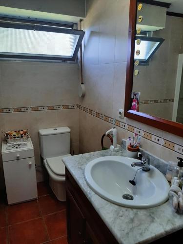 比利亚维西奥萨Casa de verano La Gaviota en Asturias的一间带水槽、卫生间和镜子的浴室