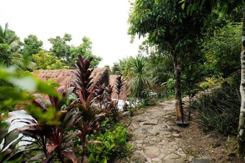 VillabaMonte Alto Eco Resort Villas的穿过种有树木和植物的花园的路径