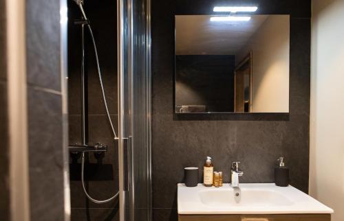莫尔济讷IMMODREAMS - La Cabane的浴室配有盥洗盆和带镜子的淋浴