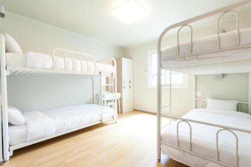 釜山Uniqstay的白色客房 - 带两张双层床和木地板