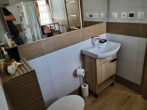赫拉布斯Chata FALCO Slovenský Raj的一间带水槽、卫生间和镜子的浴室