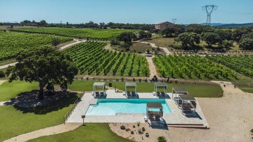 萨萨里La Vinia Bed&Wine Experience - Adults Only的享有葡萄园的空中景致,设有游泳池