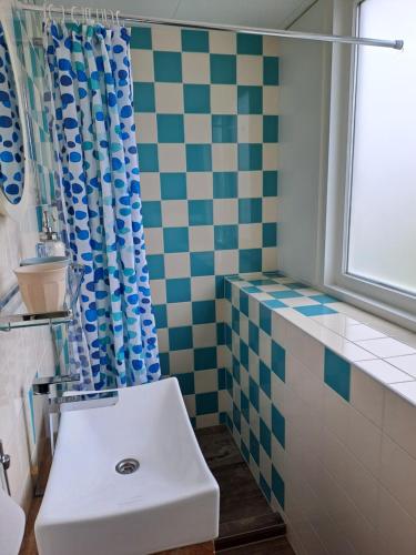 佐特兰德Unia's Verhuur的一间带水槽和 ⁇ 合式淋浴帘的浴室