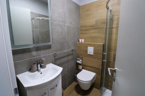 Velika MlakaRooms Matić的浴室配有卫生间、盥洗盆和淋浴。
