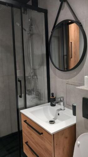 格但斯克Apartament Portowa OSTOJA的浴室配有盥洗盆和带镜子的淋浴