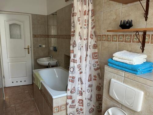 克拉科夫克拉科夫西维奥公寓式酒店的带浴缸、水槽和淋浴帘的浴室