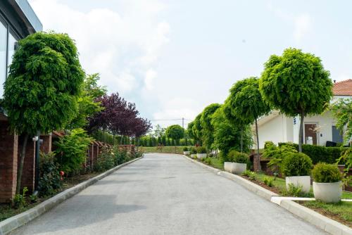 SopotAlexander Resort的树木和植物的家中的街道
