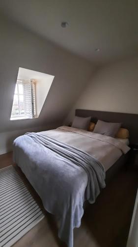 BalenVakantiehuis Rosselaer的一间卧室设有一张大床和窗户