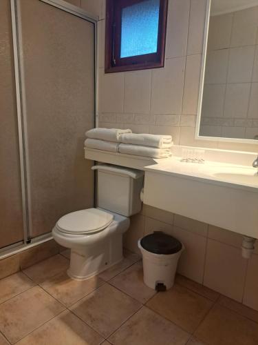 圣费利佩Hotel y Cabañas Palomar - Caja los Andes的一间带卫生间、水槽和镜子的浴室