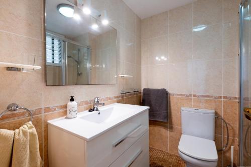 洛斯克里斯蒂亚诺斯Apartmento Cactus II的一间带水槽、卫生间和镜子的浴室