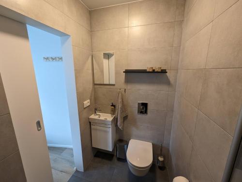 伊萨菲尔德The Ísafjörður Inn的一间带卫生间和水槽的浴室