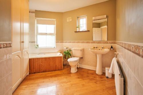 BallinaKillaloe/Ballina的浴室配有卫生间、盥洗盆和浴缸。