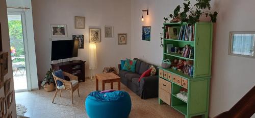 Qiryat ‘AmalGalilean villa with jacuzzi的客厅设有绿色书架