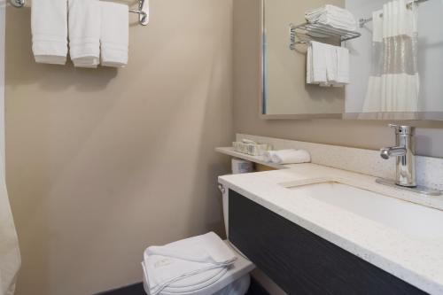 坎卢普斯Canadas Best Value Inn & Suites Kamloops的一间带水槽、卫生间和镜子的浴室