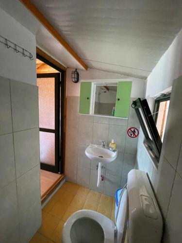 RrëshenVila Livio - Guest house Rreshen Mirdite的一间带水槽和卫生间的小浴室
