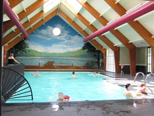 福尔特赫伊曾HderH - Eco Lodge op vakantiepark De IJsvogel, zwembaden, kids fun, natuur en rust的一群人在游泳池游泳
