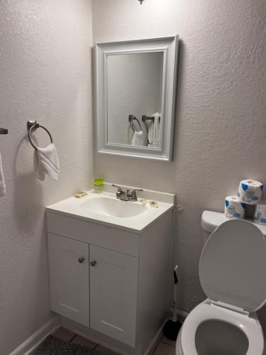 默特尔比奇David's Landing的一间带水槽、卫生间和镜子的浴室