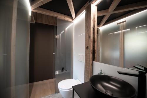 塞扎纳Moon - Tiny house from Callin Wines的一间带黑色水槽和卫生间的浴室