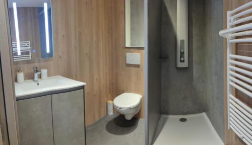 Les Hôpitaux-NeufsRésidence Le Sommet的一间带卫生间和水槽的浴室