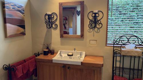 皇后镇Tussock Cottage的一间带水槽和镜子的浴室