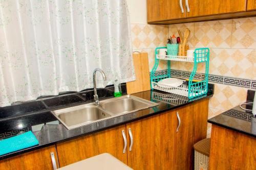 坎帕拉BRB Homes - Spacious 1 Bedroom Apatment - Bukoto, Kampala的带水槽的厨房台面和窗户