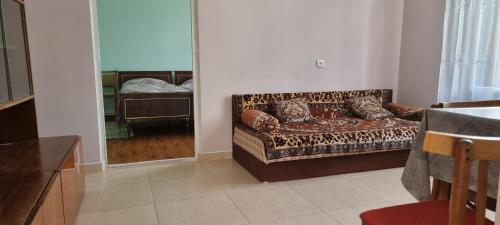 TsalkaTsalKo的客厅里设有一张带猎豹印花沙发