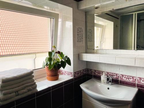 维尔纽斯米卡洛旅舍的浴室设有水槽、镜子和植物