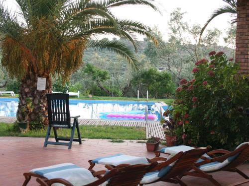 梅达Inviting holiday home in Maida with swimming pool的一个带椅子的庭院和一个棕榈树游泳池