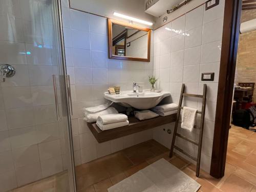 西维尔诺瓦·马尔凯La Capparuccia的一间带水槽和淋浴的浴室