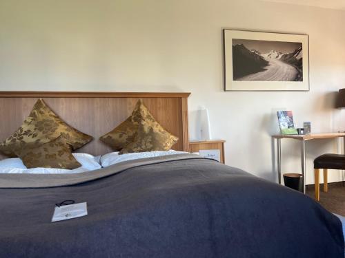 菲施阿尔皮纳酒店的一张带蓝色毯子和枕头的床