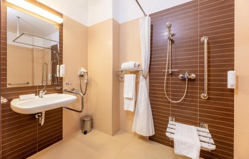 克雷尼察克雷尼察会议＆SPA酒店的一间带水槽和淋浴的浴室