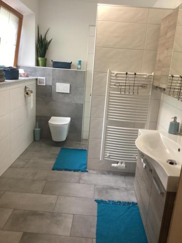 Urlaub am Bauernhof - Zettlerhof Apartment的一间带水槽、卫生间和蓝色垫子的浴室