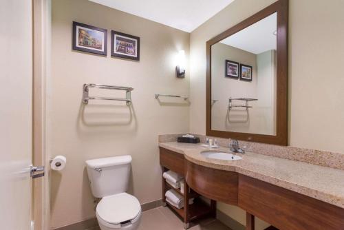 萨拉兰Comfort Suites North Mobile的一间带卫生间、水槽和镜子的浴室