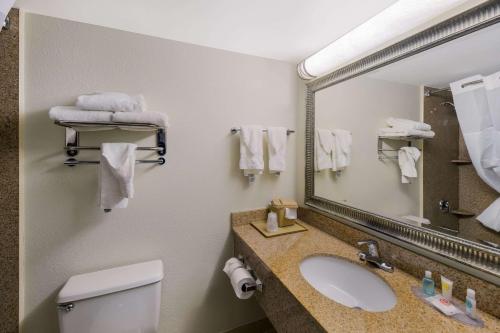 圣安吉洛Clarion Hotel San Angelo near Convention Center的一间带水槽、镜子和卫生间的浴室