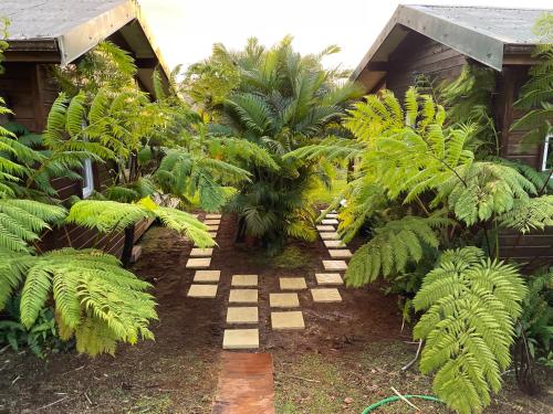 Le Morne RougeBungalow à flanc de montagne的种有植物的花园,小径