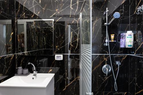 特拉维夫H-nachala的黑色浴室设有水槽和淋浴