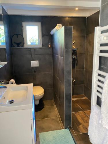 格里莫Villa 55的浴室配有卫生间、盥洗盆和淋浴。