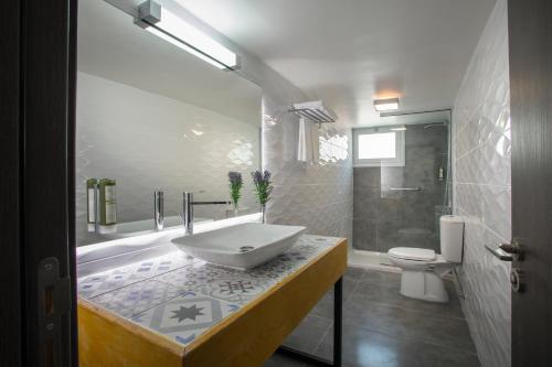 拉纳卡开拓者公寓式酒店的一间带水槽和卫生间的浴室