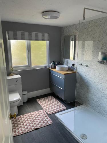 博利厄New Forest View的带淋浴、盥洗盆和卫生间的浴室