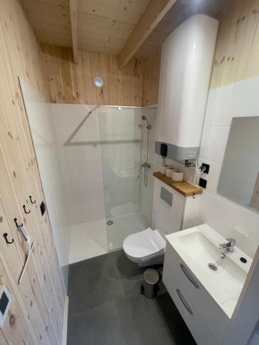 里沃A Morze Domki的带淋浴、卫生间和盥洗盆的浴室