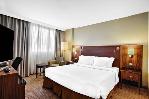 图卢兹万豪图卢兹机场度假酒店的酒店客房设有一张大床和一台电视。