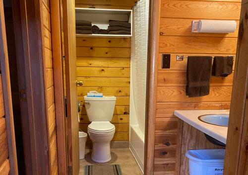 利德Trailshead Lodge - Cabin 4的一间带卫生间和水槽的浴室