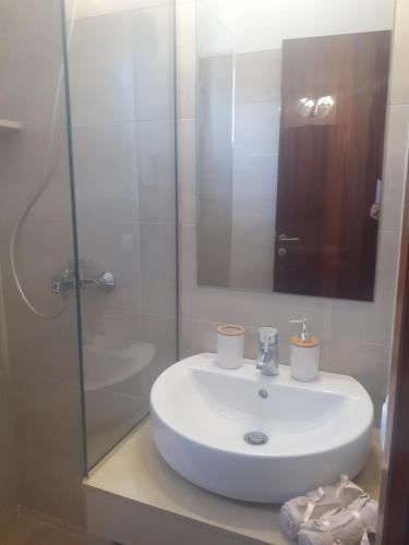罗达Marili Apartments的一间带水槽和玻璃淋浴的浴室