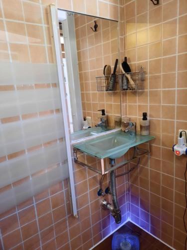 马德里Loft con jardin的一间带水槽和镜子的浴室