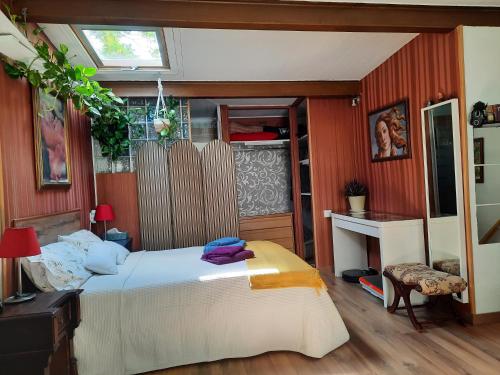 马德里Loft con jardin的一间卧室配有一张床、一张书桌和一个窗户。