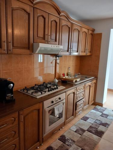 Statjunea BorsaCasa Roman的厨房配有木制橱柜和炉灶烤箱。
