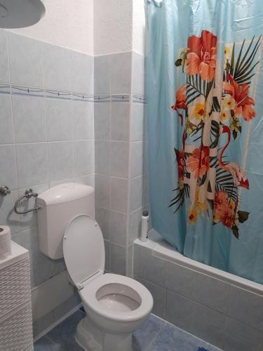 OtokaApartman Insula的一间带卫生间和淋浴帘的浴室