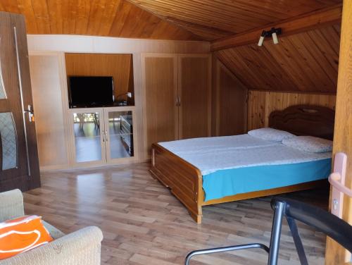 博尔若米House in Borjomi的一间卧室配有一张床和一台电视。
