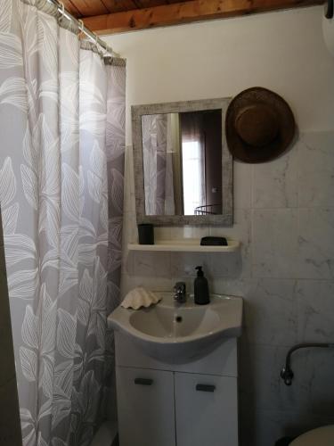 加拉塔斯Waterway view的浴室设有水槽、镜子和浴帘
